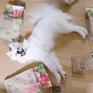 ANF - Thức Ăn Cho Chó túi lẻ 400g