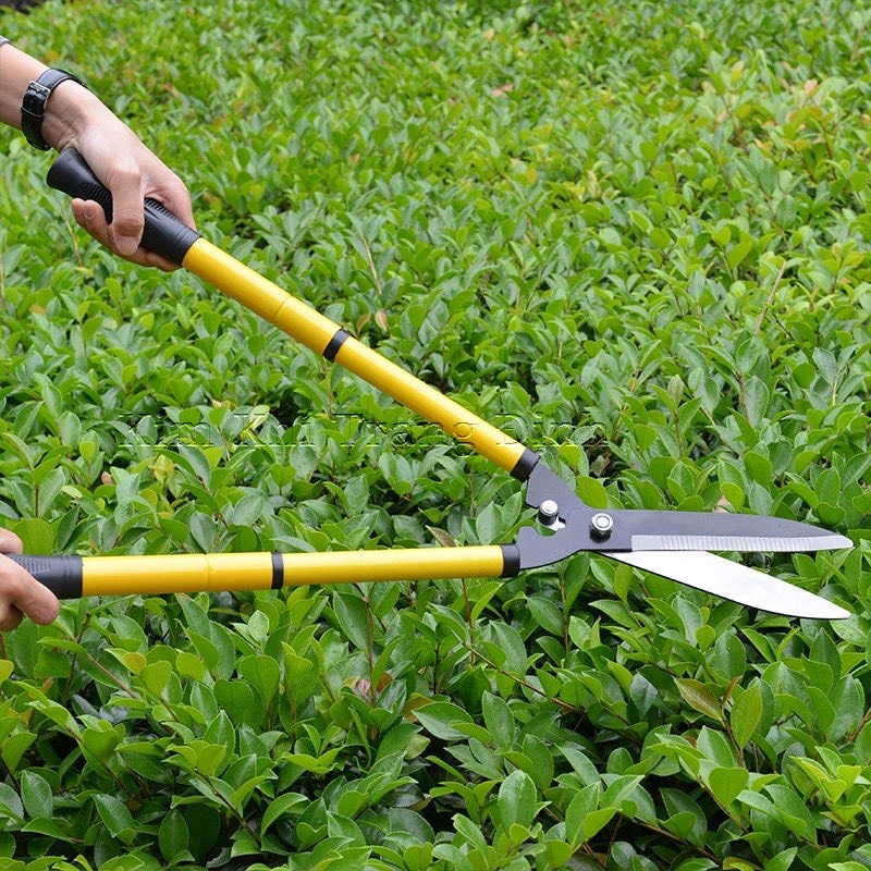Kéo Cắt Tỉa Cây, Cỏ, Hàng Rào Cán Tăng Giảm - Kéo Phát Lá