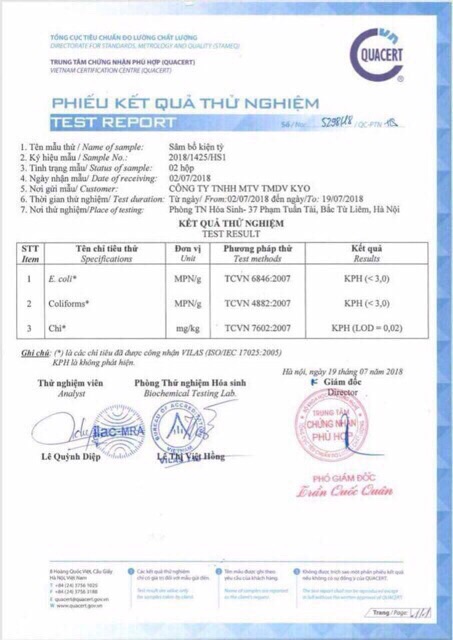 SÂM KIỆN TỲ | BigBuy360 - bigbuy360.vn
