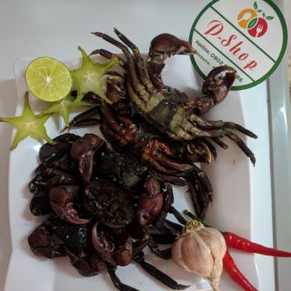 [FREESHIP 99K TOÀN QUỐC] Ba khía nguyên con đặc sản Cà Mau 1kg