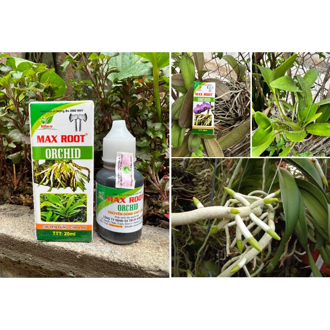 Phân Bón Kích Rễ Chuyên Dùng Cho Lan Orchid Chai 20ml