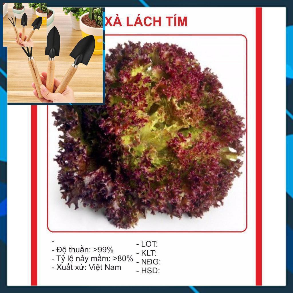 Xà Lách Xoăn Tím 0.2gr TẶNG BỘ LÀM VƯƠN MINI