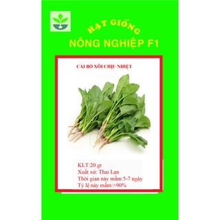 Gói 10 gr hạt giống cải bó xôi ( rau bina)