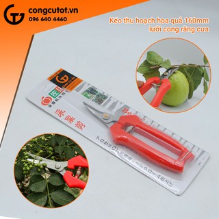 KÉO MŨI CONG SAGAWA P-916
