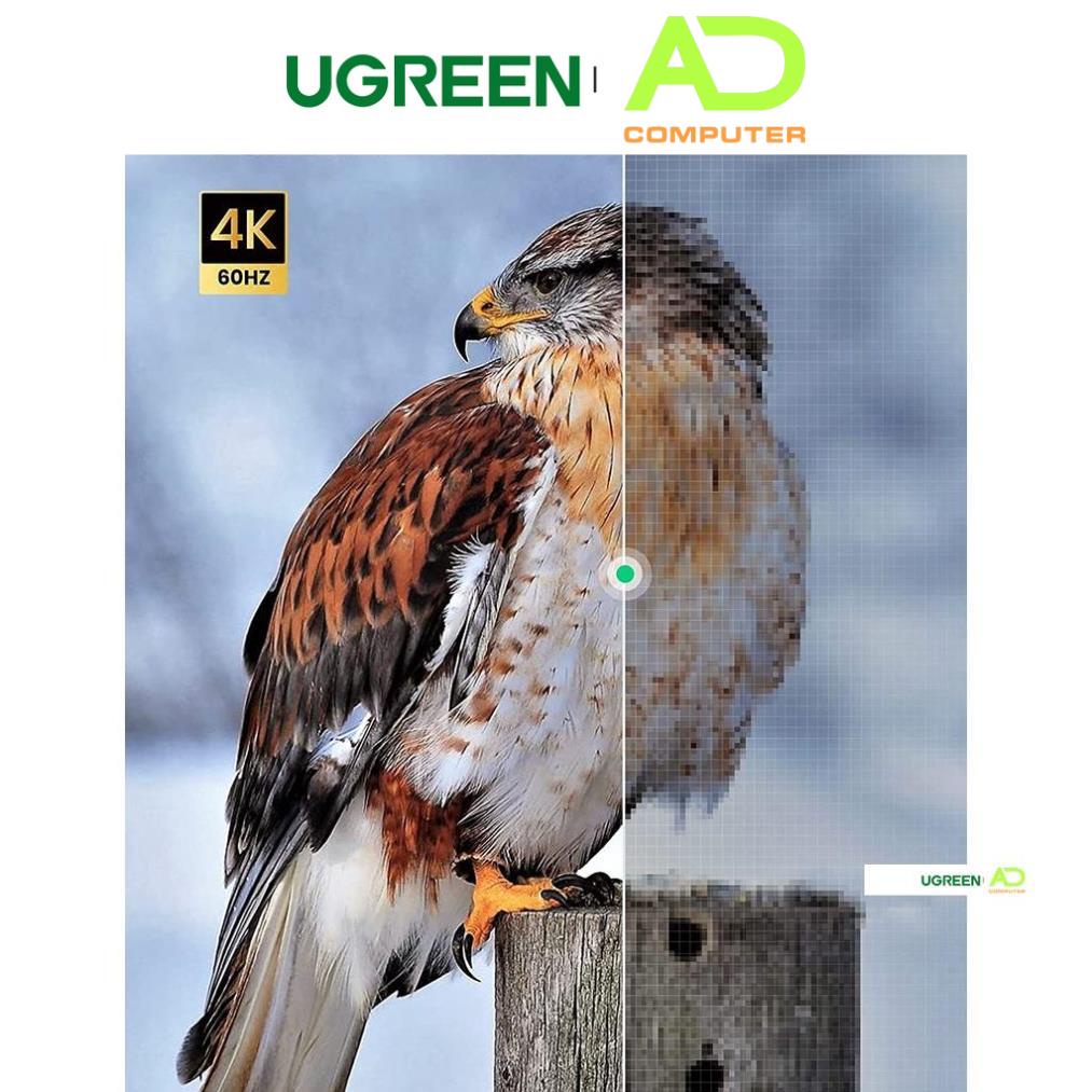 Cáp chuyển Micro HDMI Type D sang HDMI Type A dài từ 1-3m UGREEN HD127 - Hàng phân phối chính hãng - Bảo hành 18 thángCá