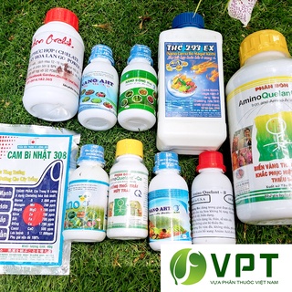 COMBO - Kích hoa và dưỡng hoa lan ĐA THÂN (Dendro, Cattleya)