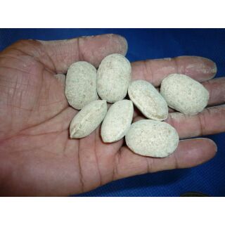 Phân bón nhật tan chậm npk 12-6-6+2 mg