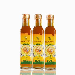 Bộ 3 mật ong thiên nhiên 5 sạch honeyboy 250ml