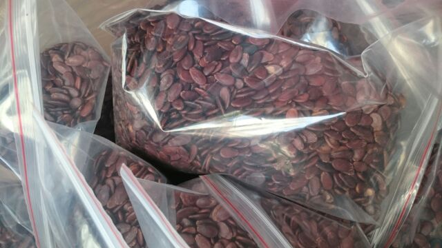 Hạt dưa không màu 500gr