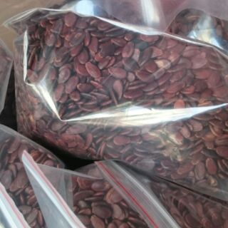 Combo 5kg hạt dưa không màu loại Đặc Biệt
