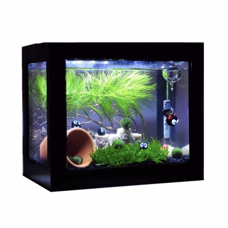 Bể Cá Mini Lắp Ráp Dùng Nuôi Cá Cảnh Thuỷ Sinh, Betta, Marimo, Bò Sát Nhỏ