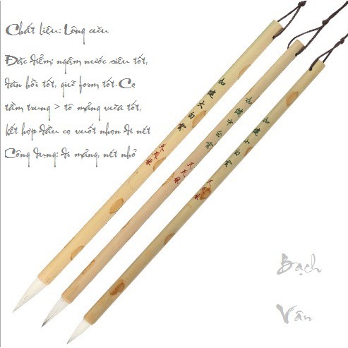 Cọ Bạch Vân (Gia Kiện)