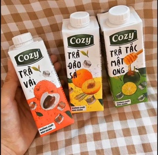 Trà cozy pha sẵn 1 lốc