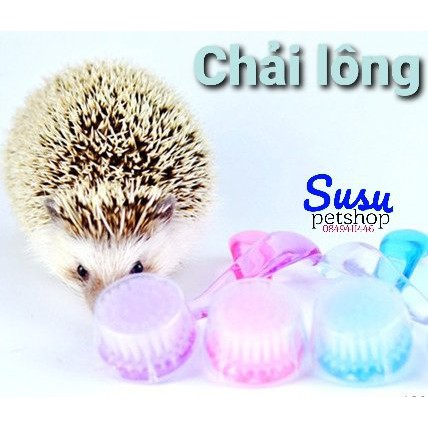 Chải lông cho Nhím, Hamster