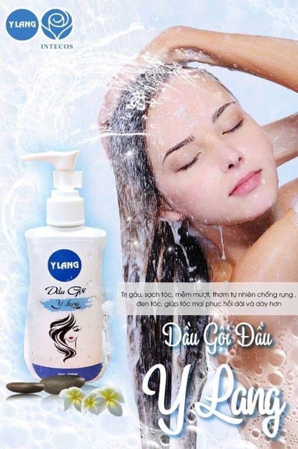 ComBo Trị Rụng Tóc Kích Thích Tóc Mọc Y Lang | BigBuy360 - bigbuy360.vn