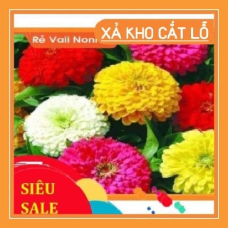 100 hạt Cúc cầu vồng đủ màu sắc chất lượng cao