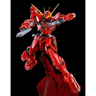 Mô hình MG 1/100 Testament Gundam