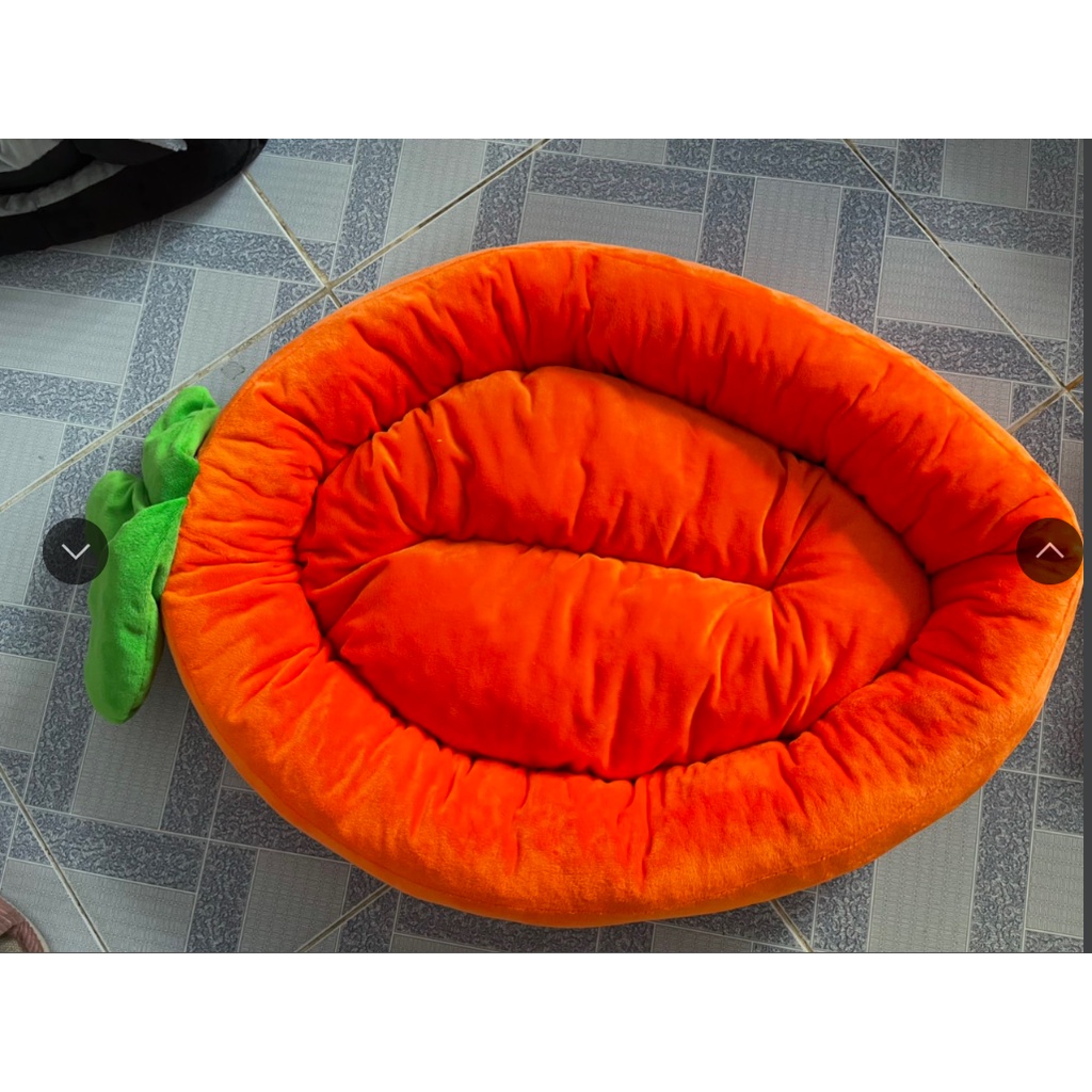 Nệm giường cho chó mèo hình trái cây size 8kg