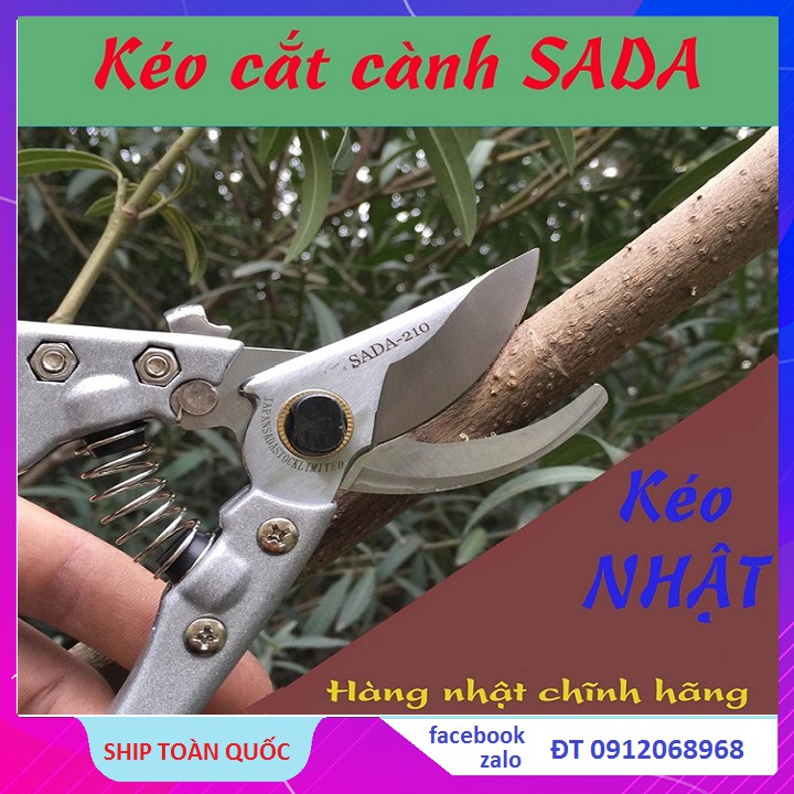 Kéo cắt cành cây, Kéo Sắc Khỏe SADA-210mm Tặng Kèm 01 Lò Xo Dự Phòng