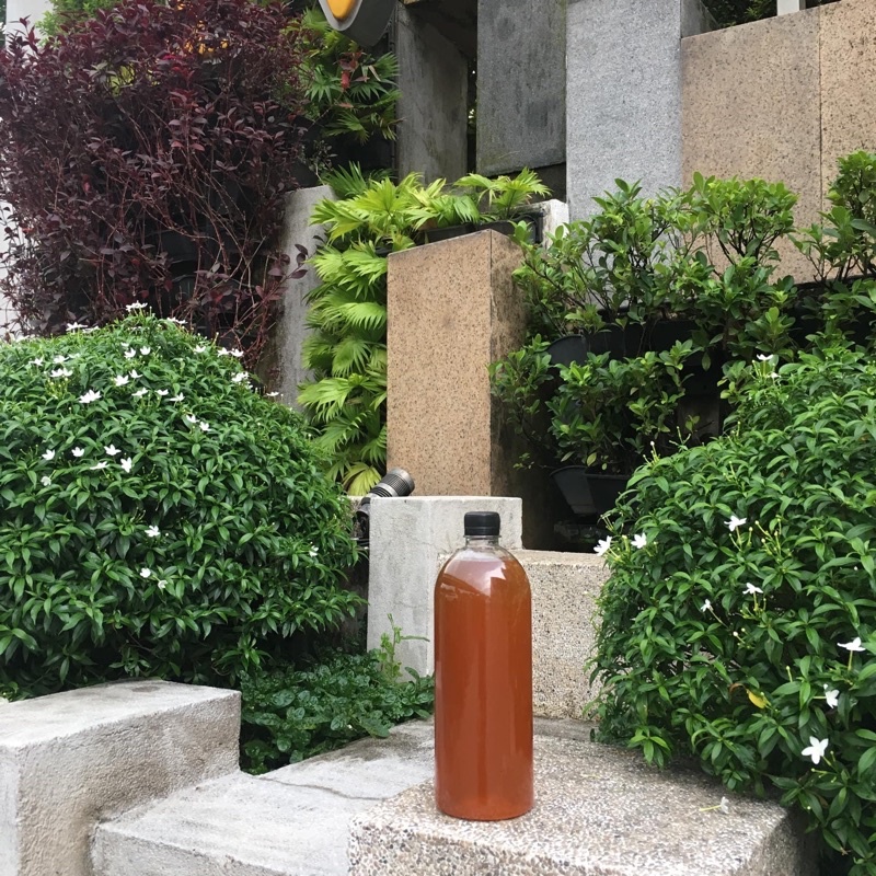 Mật ong hoa cà phê Daklak (Honey bee) - 500ml