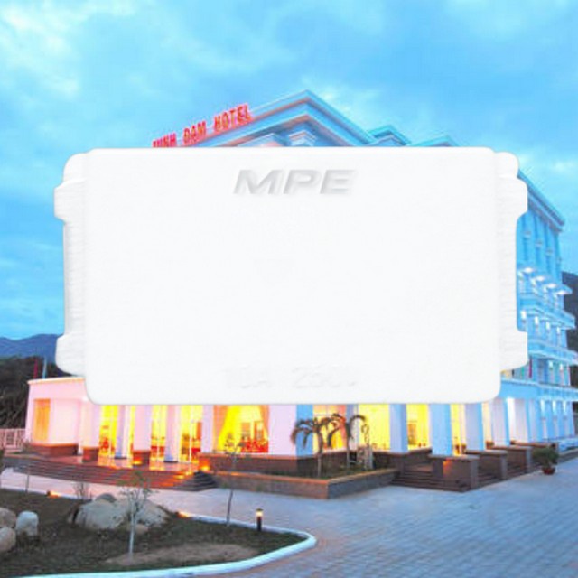 CẦU CHÌ A50-A60 MPE (A6F)