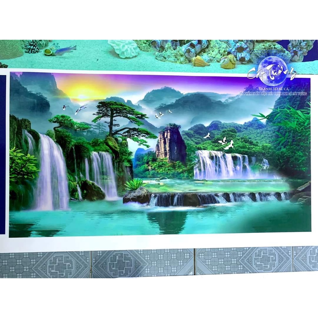 Tranh 3d dán bể cá thủy sinh