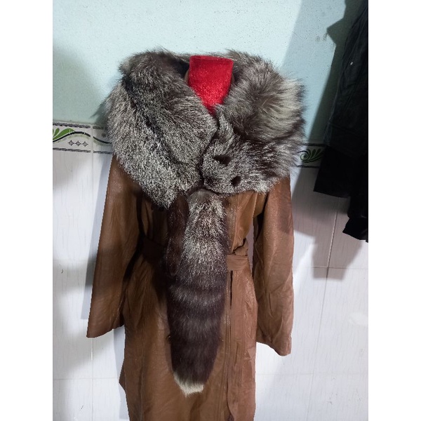 Cáo bạc nguyên con