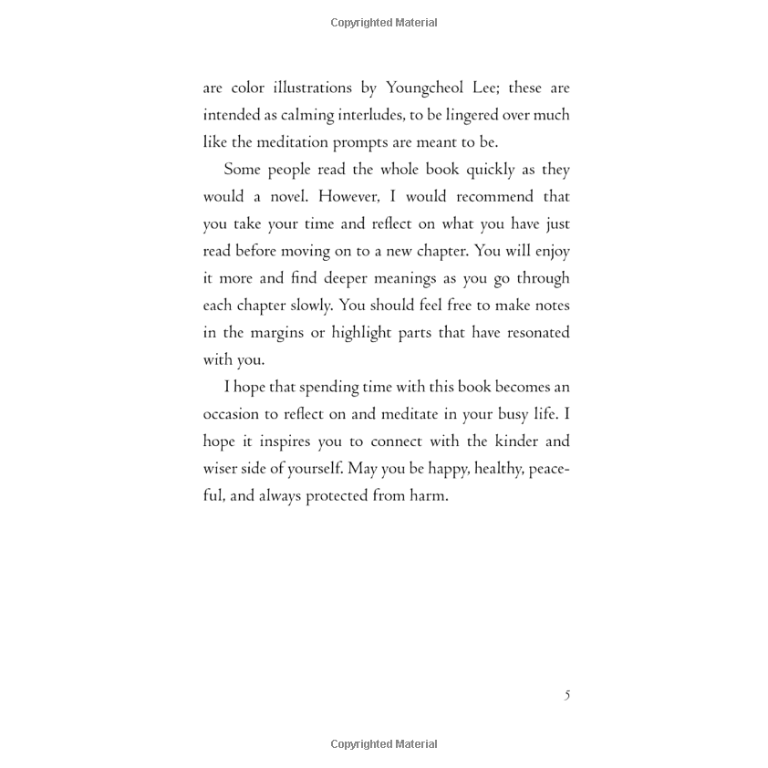 Sách - The Things You Can See Only When You Slow Down