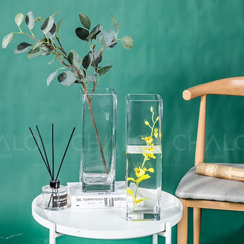 Lọ thủy tinh vuông - trụ ống VUÔNG cắm hoa, nuôi cá, thủy sinh 10x25/30/35/40cm