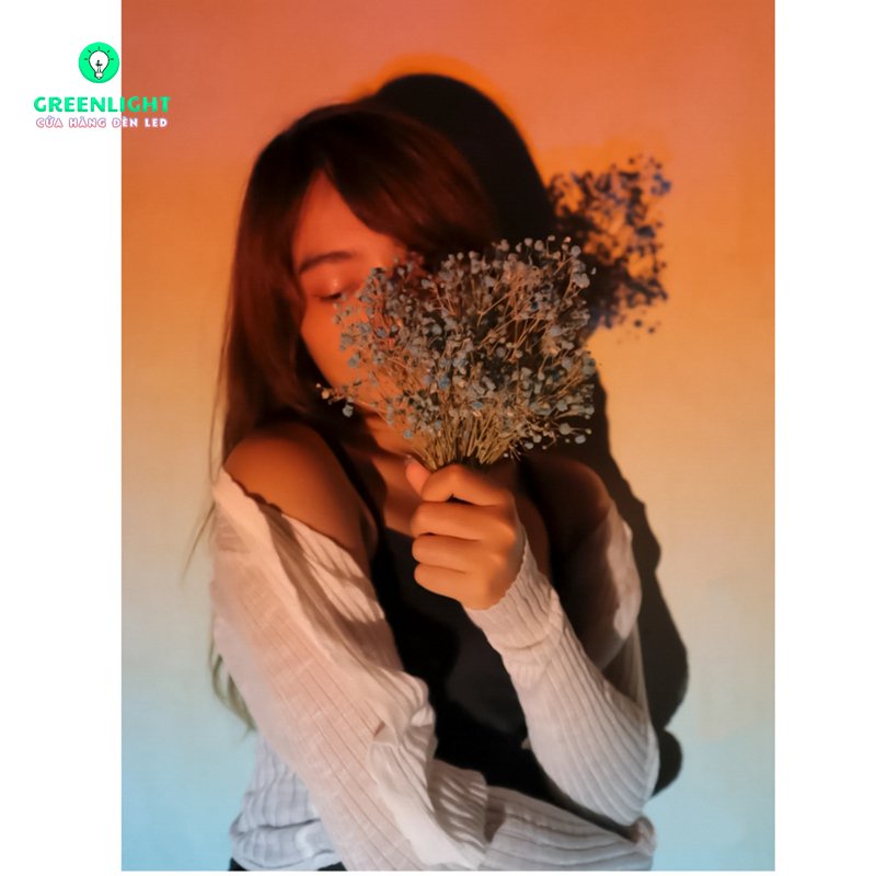 Đèn Hoàng Hôn Tiktok Đường Chân Trời Màu mới Sống ảo Siêu đẹp, mua 1 được 19 màu với 2 Thấu kính + 5 mica màu, BH12th