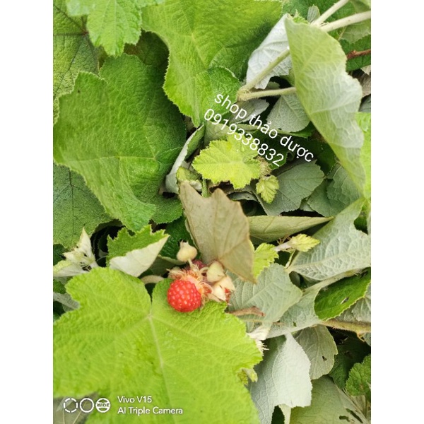 Túi 1kg  mâm xôi khô, có video hình ảnh thật.