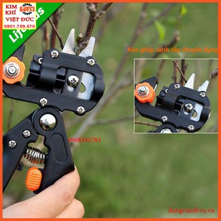 Kéo chiết ghép cành cây