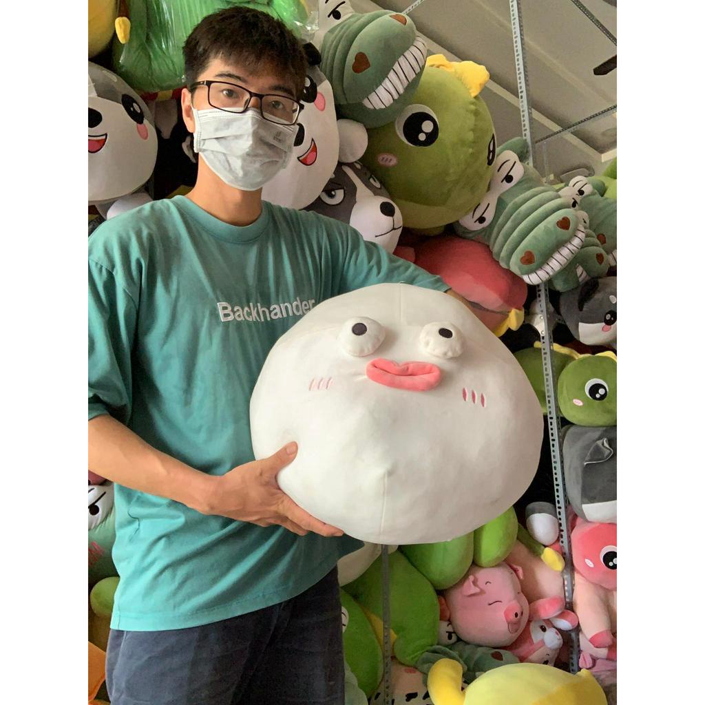 GẤU BÔNG CÁ NÓC MẶT NGÁO NGƠ, CÁ NÓC TRẦM CẢM, CÁ NÓC MẶT NGU NGƠ