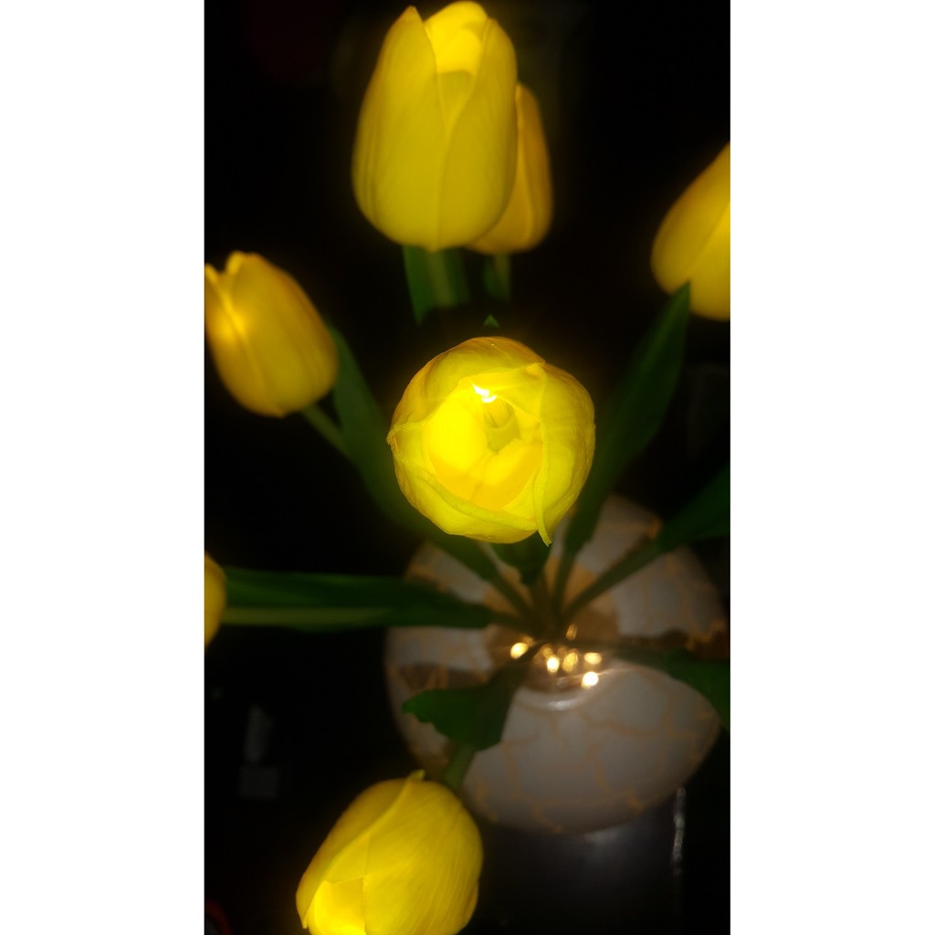 Chậu hoa Tulip có led