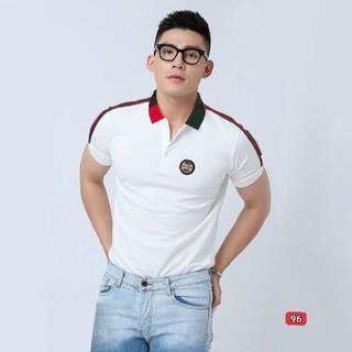 ÁO THUN CỔ TRỤ CAO CẤP BB