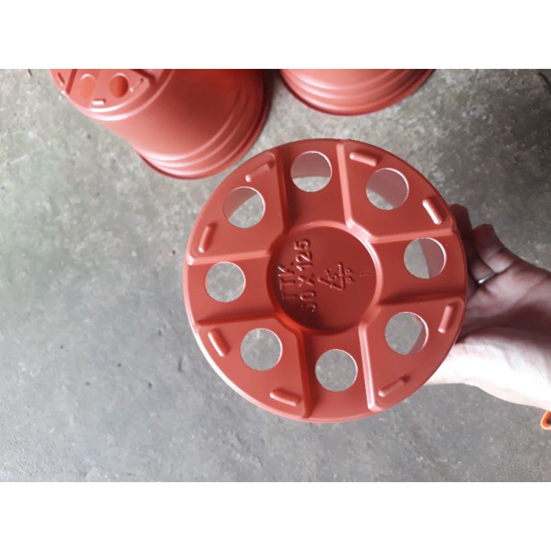 Chậu ươm cây đường kính 15cm