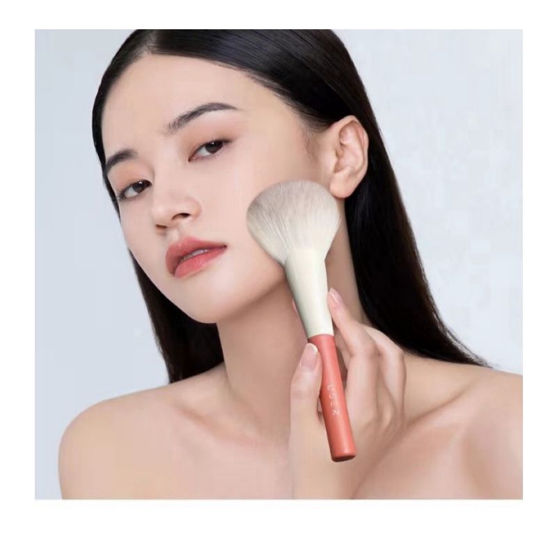 (Tặng kèm túi đựng da) Bộ cọ 12 món tone đỏ cam makeup chuyên dụng