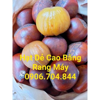 Hạt dẻ trùng khánh cao bằng rang máy