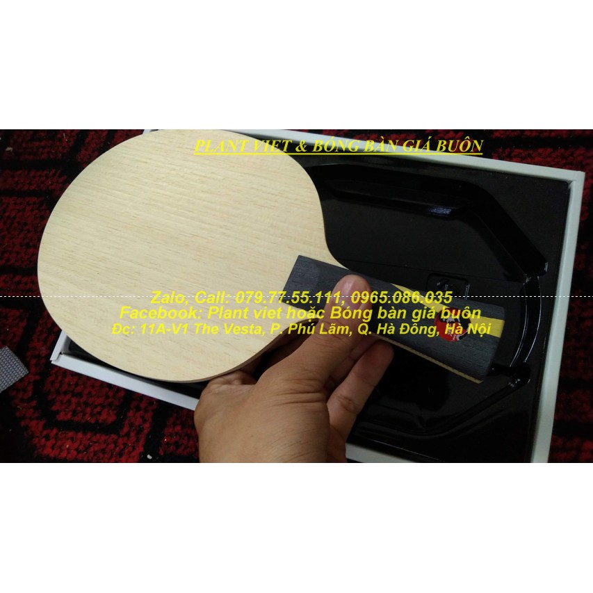 Cốt vợt bóng bàn Dhs H-WL