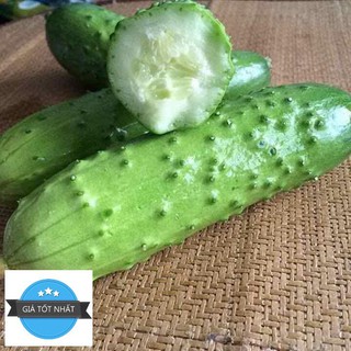 Hạt Giống Dưa Chuột Nếp Ta - 10 Hạt