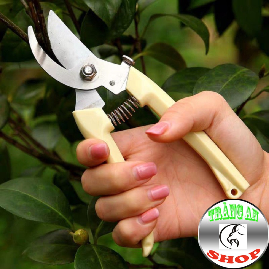 Kéo Cắt Tỉa Cành Cây Chuyên Dụng - Chất liệu Thép Chống Gỉ Siêu Bền, Tiện Lợi