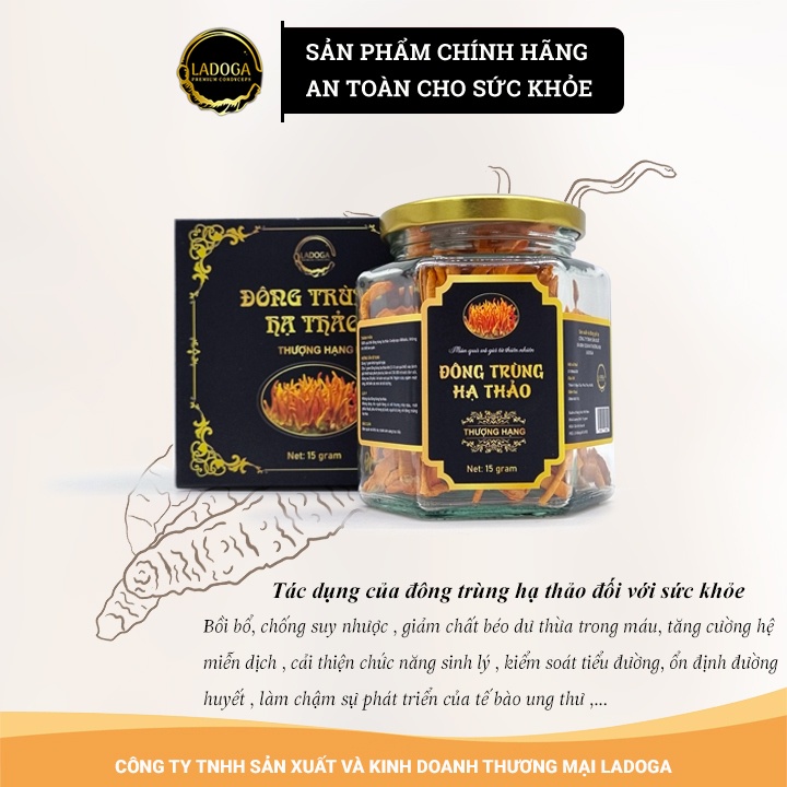 Đông Trùng Hạ Thảo LADOGA sấy thăng hoa đóng hộp 10gr và 15gr