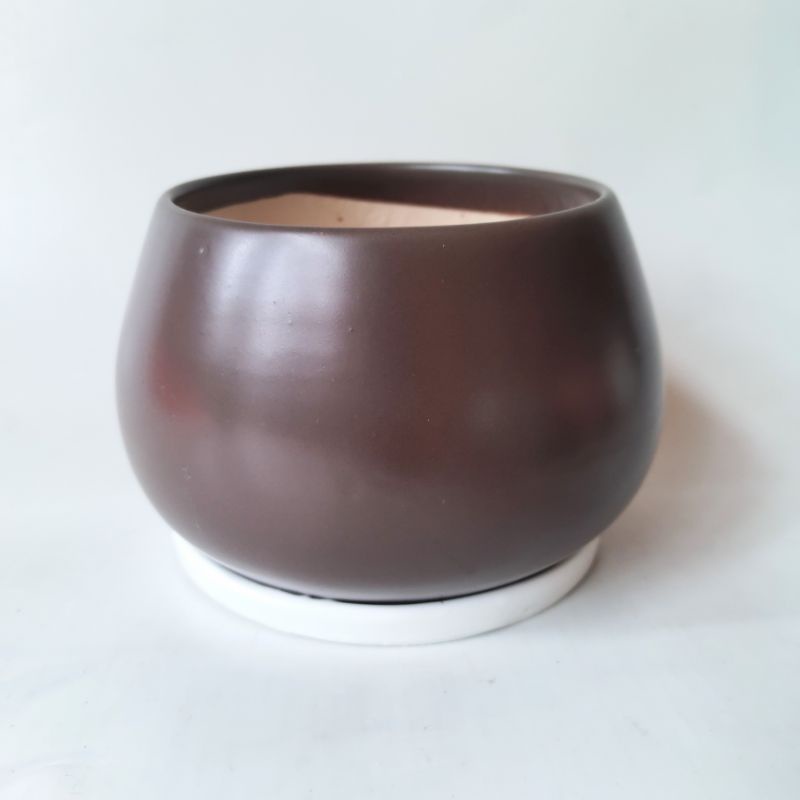 Chậu sứ hình hạt dẻ trơn kèm đĩa đường kính 14 cm, nhiều màu sắc, phù hợp trồng cây để bàn trang trí văn phòng, nội thất