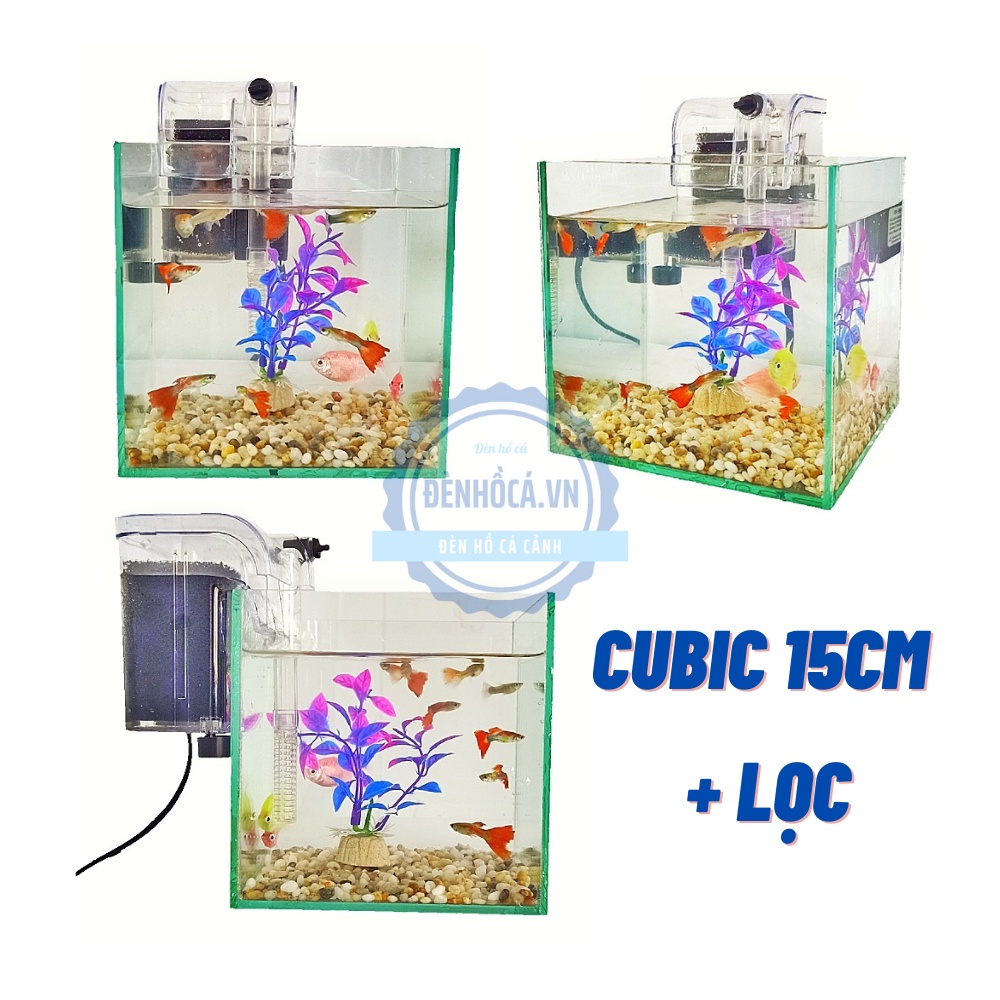 Bể cá mini cubic 15 - 20 - 25 cm dành cho nuôi cá cảnh hoặc thủy sinh