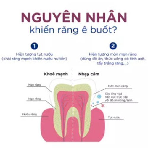 Kem đánh răng nọc Ong tự nhiên chống viêm nứu, sâu răng giảm ê buốt răng Be Venom 110g