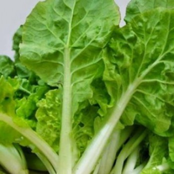 Hạt giống cải bẹ dún Thuận Điền