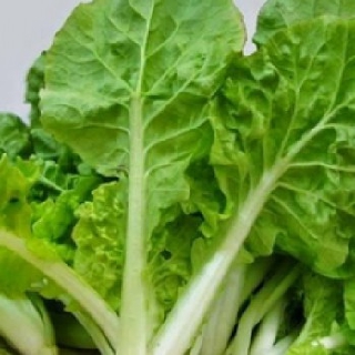 Hạt giống cải bẹ dún