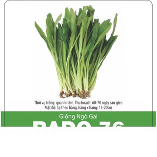Hạt Giống Mùi Tàu/ Ngò Gai Dễ Trồng 10gr