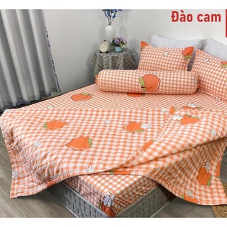 24 sét chăn hè cotton poly 5 món gồm 1 ga ,2 vỏ gối đầu , 1 vỏ gối ôm ,1 chăn hè trần bông - sét 5 món có chăn hè