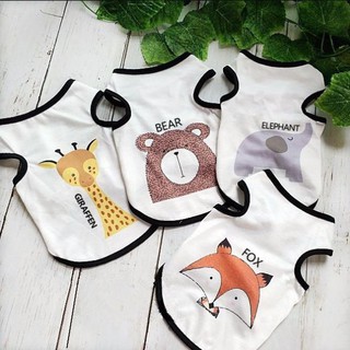 Áo in hình gấu teddy dễ thương cho thú cưng mẹ ỉn